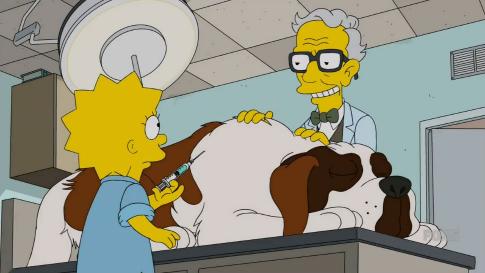 15 серия Лиза ветеринар [ Lisa the Veterinarian ]